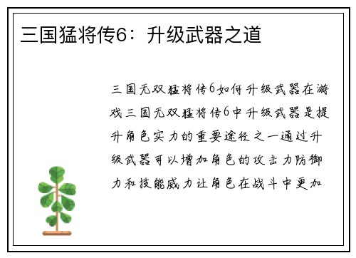 三国猛将传6：升级武器之道